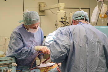 Kritik an Klinik-Schließung in Pinneberg und Elmshorn