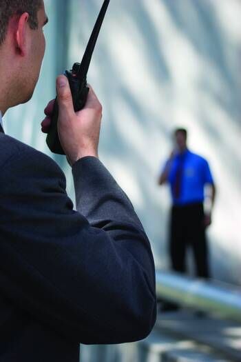 Studie: Ansätze gegen Betrug haben sich bisher nicht durchgesetzt