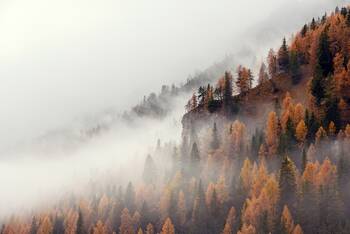 Eine Fahrt im Nebel