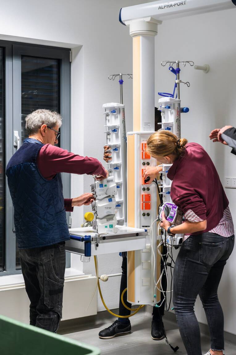 Umzug ohne Stillstand