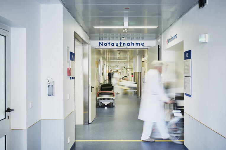 Bloß keine eierlegende Wollmilchsau! 