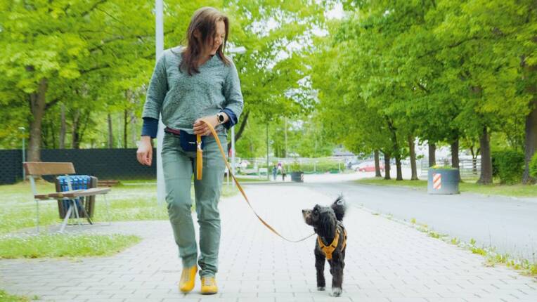 Susanne Popp, Diplom-Psychologin, mit Mini Aussiedoodle Amy
