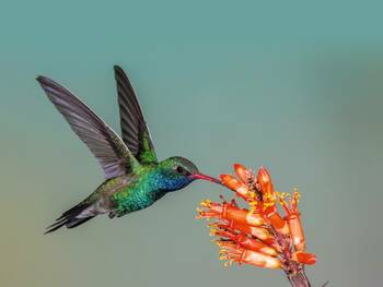 Label Fachklinik: Vorschlag für eine Definition