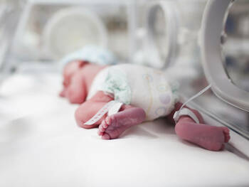 Frühchen in einem Inkubator