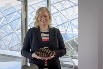 Sabine Brase ist Vordenkerin 2021