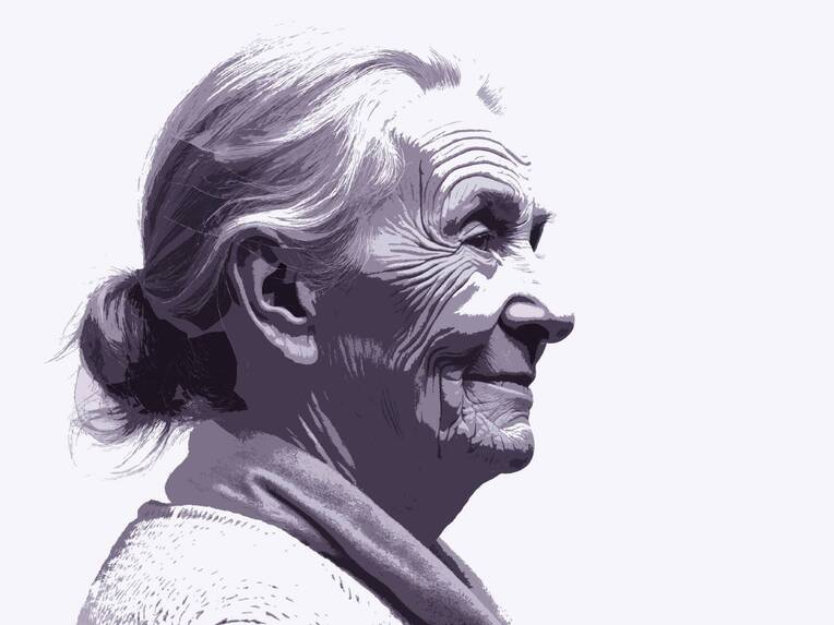 Geriatrie als ungelöste Aufgabe