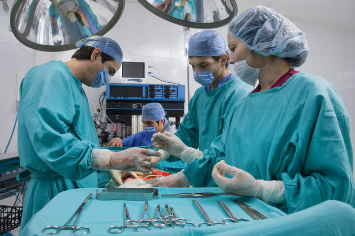 Auffälligkeiten bei Transplantationen nur in Berlin, Göttingen und Essen