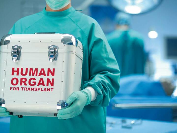 Online-Register zu Organspenden soll schrittweise starten Online-Register zu Organspenden soll schrittweise starten
