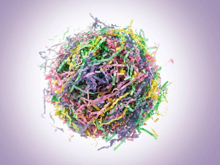 Kontroversen im Abrechnungsdschungel