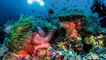 Gesetzlich verordnetes Chaos