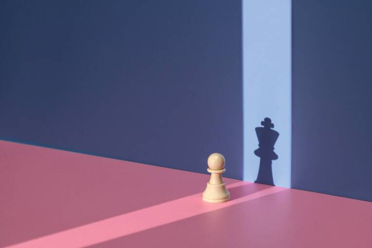 Freiwilligkeit versus Zwang