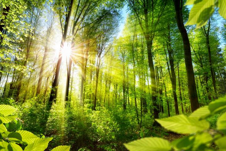 Helios will klimaneutral werden 