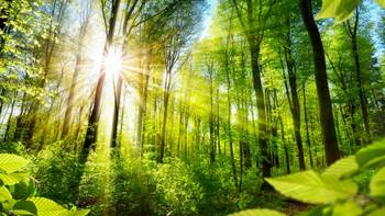 So können Krankenhäuser Energie und Geld sparen