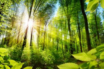 Helios will klimaneutral werden 