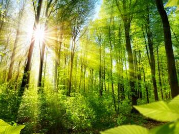 „Klimaschutz ist nicht zum Dumpingpreis zu haben“