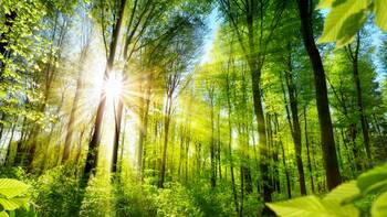 Vorzeigeprojekt: Brennstoffzellen sollen Klinik mit Energie versorgen