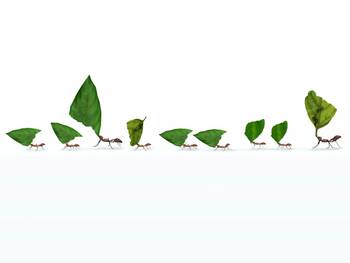 Interprofessionalität lernen und leben