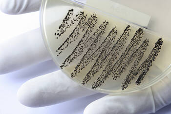 33.000 Tote durch antibiotikaresistente Erreger in Europa