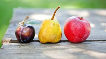 Experten fordern bessere Verpflegung im Krankenhaus