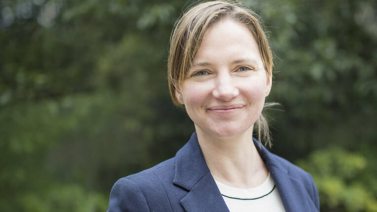Pionier für die sanfte Reform