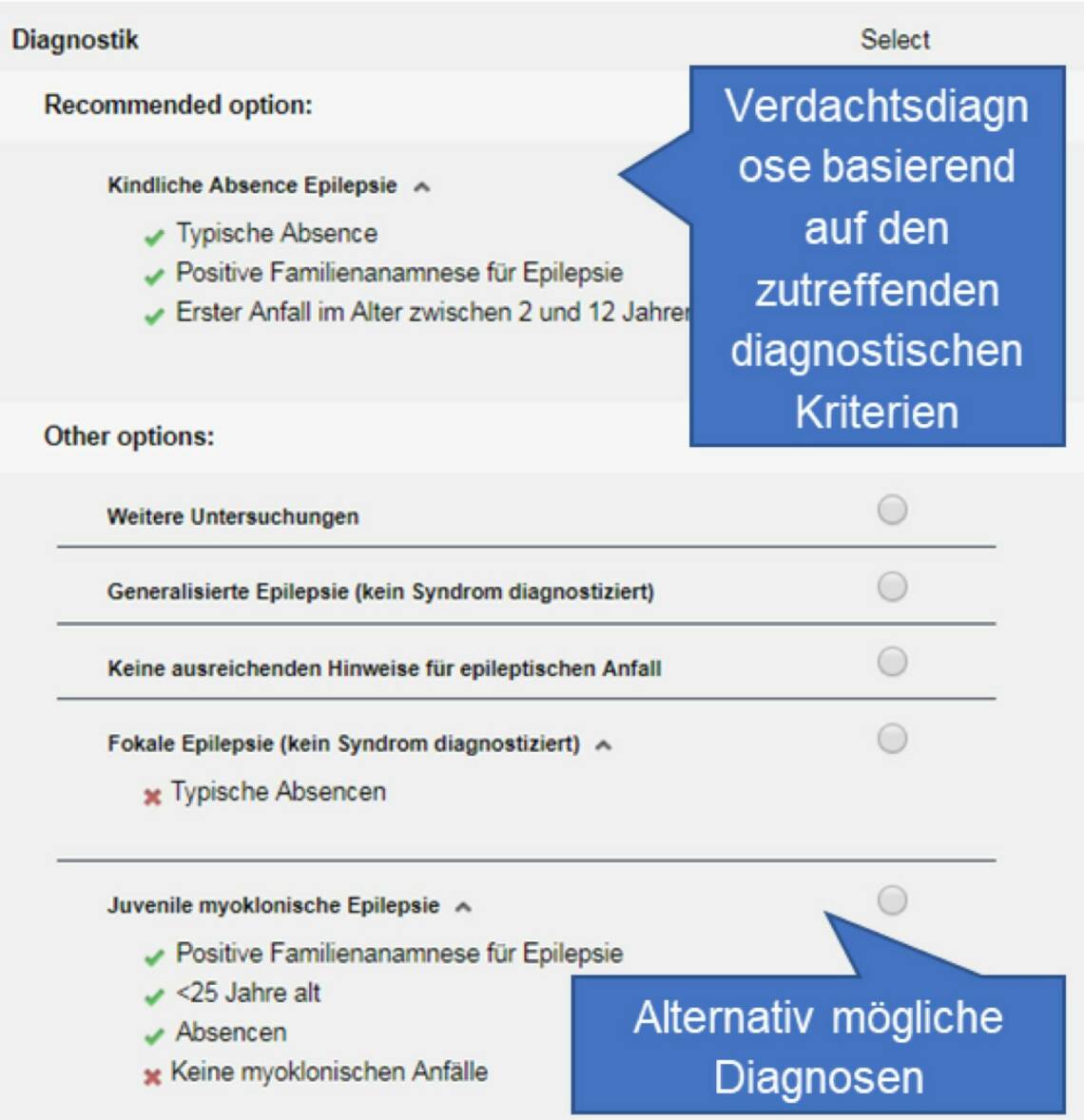 abb1_p4_kopie.jpg