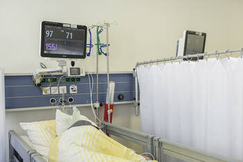 Welchen Grouper wählt Nina Warken?