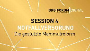 Notfallversorgung: Die gestutzte Mammutreform