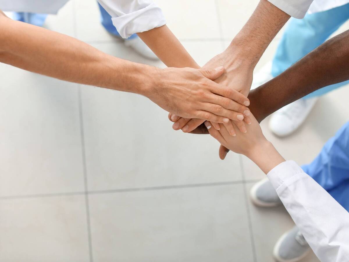 Von der Hierarchie zum Netzwerk