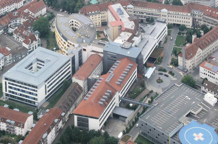 Blick für das Ganze 