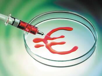 Das steckt im Blut