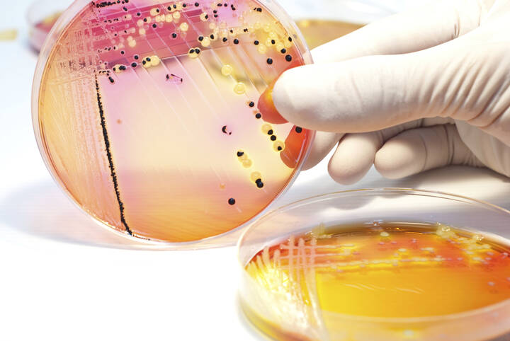 Antibiotikaverbrauch online vergleichen