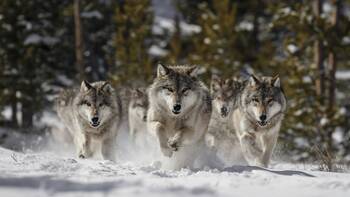 Ambulantes Fallmanagement sichert ambulante Erlöse