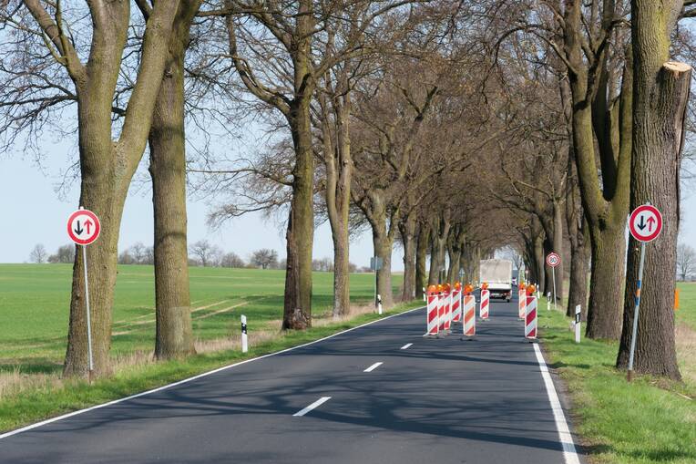 Vorfahrt für Einzelkämpfer