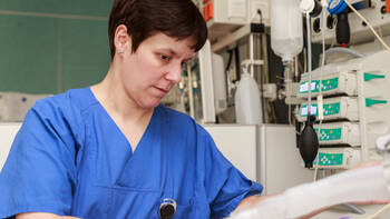 Zahl der Ausbildungsplätze in NRW erreicht Höchststand