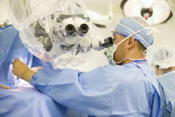 Einblicke in den Mikrokosmos