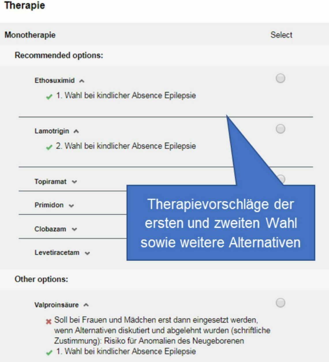 abb2_p4_kopie.jpg