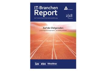 Jetzt downloaden: IT-Branchenreport 