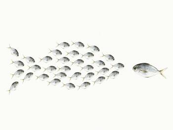 Die Kleinen sind nicht die Verlierer