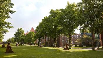 DKR-Kliniken Berlin schließen Kinderchirurgie