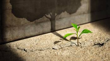 Top 50 Krankenhausträger wachsen trotz Reformdruck