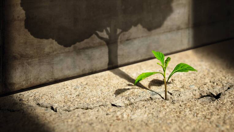 Top 50 Krankenhausträger wachsen trotz Reformdruck