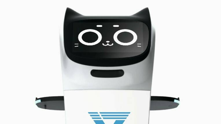 Kollege Roboter