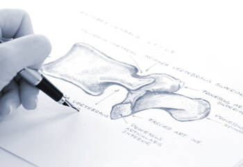 BVA-Präsident will konsequent gegen Beeinflussung von Diagnosen vorgehen