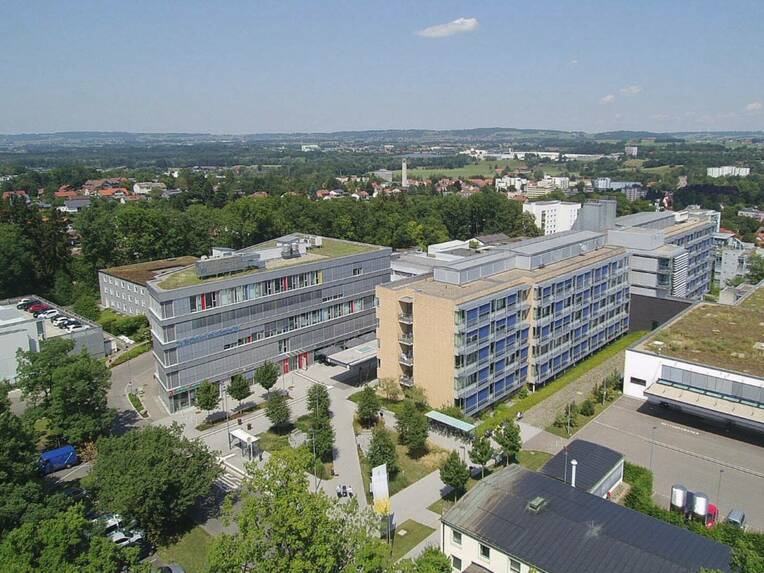 Auf Augenhöhe
